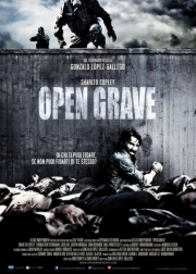 Постер Открытая могила (2013)