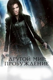 Постер аниме Другой мир: Пробуждение (2012)