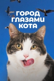 Постер Город глазами кота (2018)